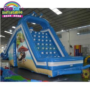 Large Dolphin Slide Inflatable Park Water Slide for Swimming Pool